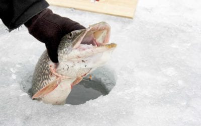 Ice Fishing for Northern Pike