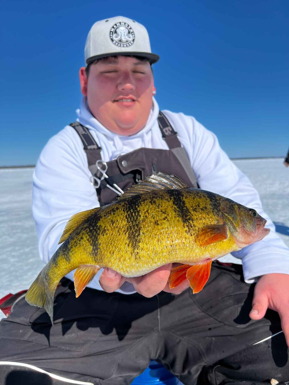Perch Packages Trophy Ice Fishing